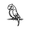 fun parrot bird cartoon character drawing coloring line art style sketch classic vintage design Royalty Free Stock Photo