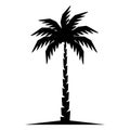 Modern Minimal Palm Tree Silhouette Artwork For Tropical Designs Royalty Free Stock Photo