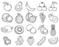 Hand Drawn Fruit Line Art Set Royalty Free Stock Photo