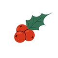 Holly leaf with red berries. Winter plant icon. Flat illustration on white background for Christmas designs Royalty Free Stock Photo