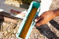 Mobile apiary. Beekeeping. Pollen trap for collecting pollen pellets from legs of honey bees