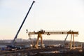 Mobile auto cranes and gantry crane working at construction site.