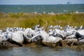 Mobile Bay on Dauphin Island