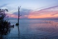 Mobile Bay reflections at sunset in Daphne, Alabama Royalty Free Stock Photo