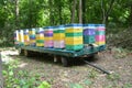 Mobile Beehive Trailer. Relocating Honey Bees in Forest