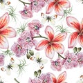 Bright seamless pattern with flowers. Plumeria. Orchid. Butterfly. Watercolor illustration.