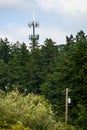 Mobile communications tower with antennas on top, showing above a forest tree line, sky and clouds in the background Royalty Free Stock Photo