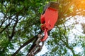 Mobile construction cranes with red lifting steel crane hook, swivel joint and connection steel sling. Blurred beautiful tree back