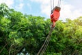 Mobile construction cranes with red lifting steel crane hook, swivel joint and connection steel sling. Blurred beautiful tree back