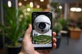 Mobile device in hand establishes connection with 3D-rendered security camera