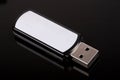 Mobile Flash Disk Royalty Free Stock Photo