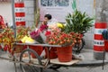 Mobile flower stand at the cat street Royalty Free Stock Photo