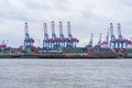 Harbour cranes at Port of Hamburg, Germany Royalty Free Stock Photo