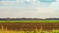 Mobile irrigation system Royalty Free Stock Photo