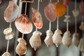 Mobile made from shells Hanging Royalty Free Stock Photo