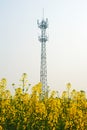 Mobile phone base station Royalty Free Stock Photo