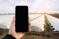 Mobile phone with a blank empty screen on the background of agricultural greenhouses in the farmer`s hand. Innovative modern