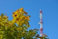 Mobile phone communication radio tv tower, mast, cell microwave antennas and transmitter against the blue sky and trees Royalty Free Stock Photo