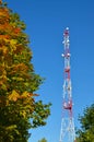 Mobile phone communication radio tv tower, mast, cell microwave antennas and transmitter against the blue sky and trees Royalty Free Stock Photo