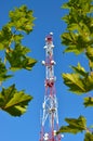 Mobile phone communication radio tv tower, mast, cell microwave antennas and transmitter against the blue sky and trees Royalty Free Stock Photo