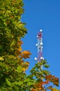 Mobile phone communication radio tv tower, mast, cell microwave antennas and transmitter against the blue sky and trees Royalty Free Stock Photo