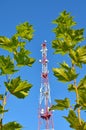 Mobile phone communication radio tv tower, mast, cell microwave antennas and transmitter against the blue sky and trees Royalty Free Stock Photo