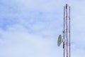 Mobile phone communication tower transmission  signal with blue sky background and antenna Royalty Free Stock Photo