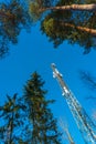 Mobile phone telecoms mast Royalty Free Stock Photo