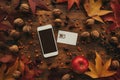 Mobile phone and SIM card with autumn arrangement Royalty Free Stock Photo