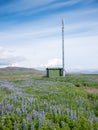 Mobile phone telecommunication radio antenna tower Royalty Free Stock Photo