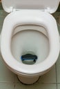 Mobile phone in the toilet