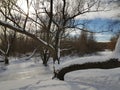 Mobile photo. Frosty and snowy winter. The creek froze. Royalty Free Stock Photo