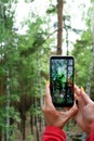 Mobile photography concept. Woman hand holding smartphone and taking photo of green forest Royalty Free Stock Photo