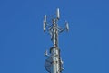 Mobile pole behind tree with blue sky back ground , technology can coexist the environment Royalty Free Stock Photo