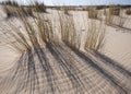 Mobile sand dunes, DoÃÂ±ana, Spain Royalty Free Stock Photo