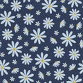 Seamless vector daisy flowers pattern for fabric wallpaper or scrapbook.