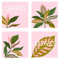 Set of four square card template. Universal trend posters with bright tropical leaves foliage on the pink background. Royalty Free Stock Photo