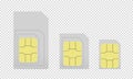 Mobile Sim Cards Different Sizes - Vector Illustrations - Isolated On Transparent Background