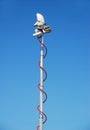 Mobile telecom antenna