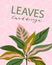 Universal trend poster with bright tropical leaves foliage on the geometric pink background. Cards in restrained sustained tempere