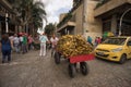 Mobile vendor pushing a cart full of bananas