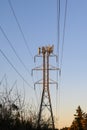 Mobility telecom panel antennas on the top of a power line lattice tower, in late afternoon light Royalty Free Stock Photo