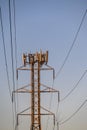 Mobility telecom panel antennas on the top of a power line lattice tower, in late afternoon light Royalty Free Stock Photo