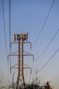 Mobility telecom panel antennas on the top of a power line lattice tower, in late afternoon light Royalty Free Stock Photo