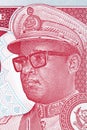 Mobutu Sese Seko a portrait