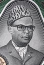 Mobutu Sese Seko a portrait