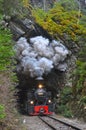 Mocanita Steam Train and the narrow gauge through tunnel mountain with plants