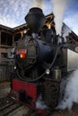 Mocanita steam train for tourists. Royalty Free Stock Photo