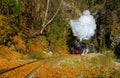 Mocanita steam train from Valea Vaserului, near Viseu de Sus village, Maramures, Romania
