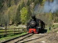 Mocanita train on Vaser Valley Royalty Free Stock Photo
